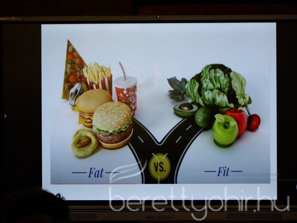 fenntartható egészség 30